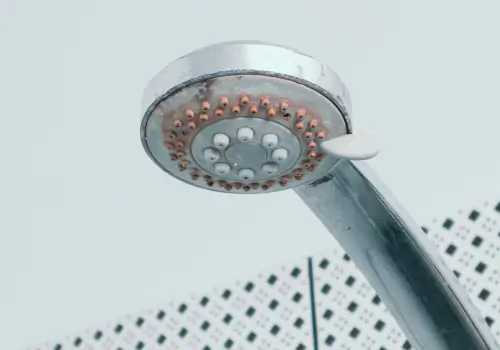 Showerhead caked with white mineral scale from hard water